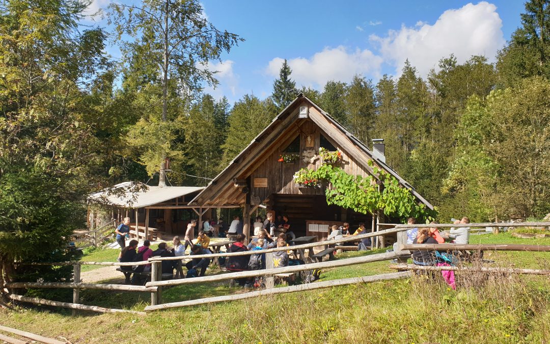 Osmošolci v šoli v naravi – Kranjska Gora